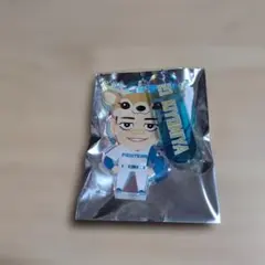 北海道日本ハムファイターズ 清宮幸太郎 キーリング