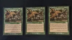MTG 禁忌の果樹園 英語 3枚セット - メルカリ