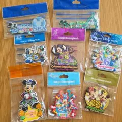 東京ディズニーリゾート マグネット まとめ売り8点セット
