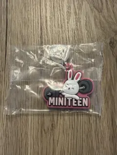 ミニティーン　MINITEEN めじるしアクセサリー　エスクプス