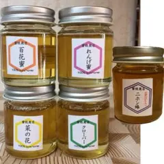 【非加熱・生はちみつ】5種お試しセット・50g×5（5本）