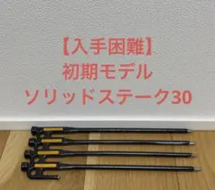 スノーピーク ポイントギフト ソリッドステーク ブロンズ30 非売品