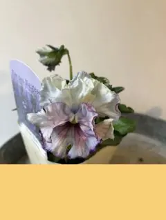 まるまま様 リクエスト 4点 まとめ商品