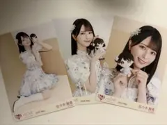 LOVE 佐々木舞香 生写真 ぬいぐるみマスコット - メルカリ