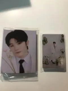 SEVENTEEN FML carat盤　トレカバインダー　ウジ