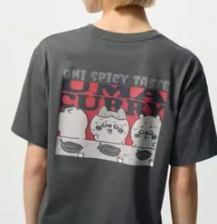 Tシャツ ちいかわ 半袖 Mサイズ ユニクロ UNIQLO UT グレー カレー
