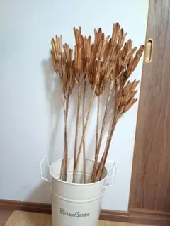 P.Blue様 リクエスト 2点 まとめ商品