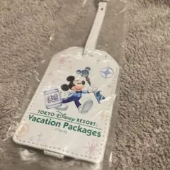 東京ディズニーリゾート バケーションパッケージ ミッキー デザイン パスケース
