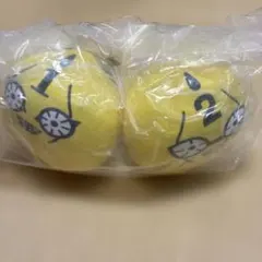 一番くじ　ジョジョの奇妙な冒険　G賞　もちもちもっちぬいぐるみ（１・２）