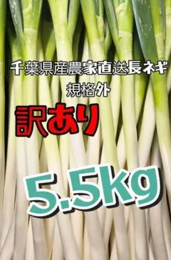 （28）農家直送千葉県産ミネラル豊富な長ネギ20㎏おまけ付き 5.5kg 千葉県産 農家直産 長ネギ 規格外訳あり‼️ 沖縄離島対応❌ 常温