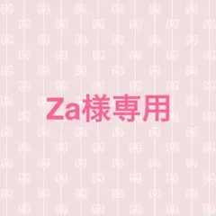 Za様専用ページ