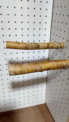 Item thumbnail for item 38fe2990-1bd3-4db3-a7cd-9e097280cce6