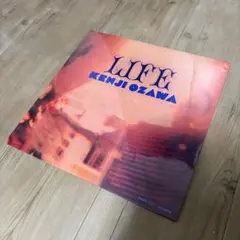 2026年最新】life 小沢健二 レコードの人気アイテム - メルカリ