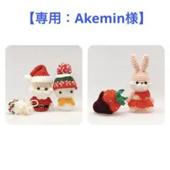 【専用：Akemin様】雪だるまとクリスマス＆うさことバレンタイン／あみぐるみ