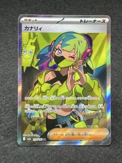 【美品】カナリィ SR 219/193