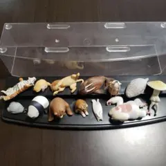 Item thumbnail for item 872c6103-9390-4a7c-a501-d50279d6b978