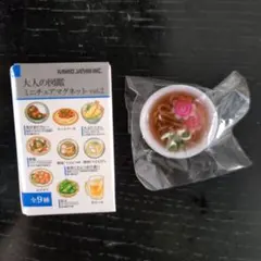 【新品】大人の図鑑ミニチュアマグネット vol.2②
