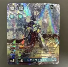 2025年最新】ヘクセブラウモン パラレルの人気アイテム - メルカリ