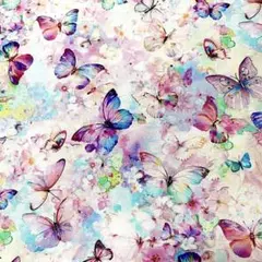輸入生地 Flutter バタフライ