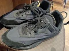 Item thumbnail for item 22e382ca-3b88-436e-af37-4770b3f79e20