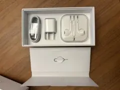 Apple 純正品iPhone 6s 付属品セット　箱　イヤホン　プラグ