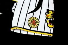 Item thumbnail for item bc4e8b91-beea-4141-8675-14554e95c8c1