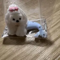 スクイズ 犬人魚