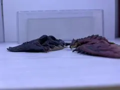モンスターハンター 捕獲し隊２　2体セット