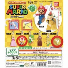 スーパーマリオ めじるしアクセサリー2 ガチャ　キノピオ・シークレット