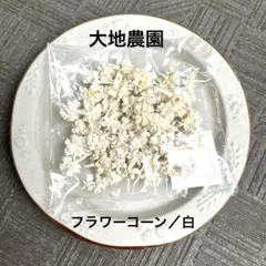 ♡mami♡断捨離中！様　ご専用