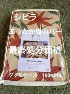 Item thumbnail for item 674a55f3-a049-4c4d-8673-1f9063910c09