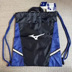 Item thumbnail for item 4e3a0f56-3fe0-4bcc-bd2c-7ed9c1767c2c