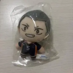 ハイキュー 田中龍之介 ぬいぐるみ セガラッキーくじ