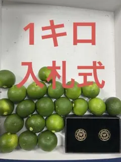 R*H様 ハウススダチ　家庭用　約5キロ ハウススダチ 家庭用 約1キロ 即発送 - メルカリ