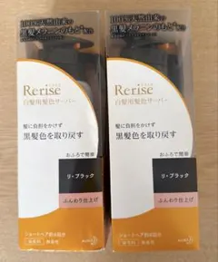 リライズ 白髪用髪色サーバー リ・ブラックふんわり仕上げ本体 2本セットのサムネイル