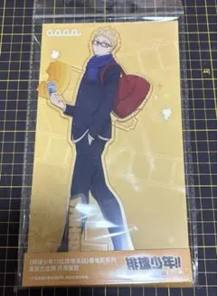 海外公式品　ハイキュー　月島蛍　BIGアクスタ　ゴミ捨て場