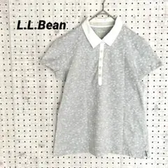 Item thumbnail for item e2f982e6-d805-4fd8-b9a5-a5229034a133