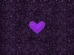 hina様　専用ページ