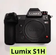 美品】LUMIX S1R ボディ【シャッター回数16,751回・おまけ付】 - メルカリ