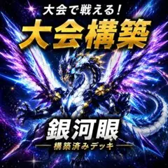 No.15578 遊戯王 ギャラクシー 銀河眼 構築済みデッキ 本格構築 - メルカリ