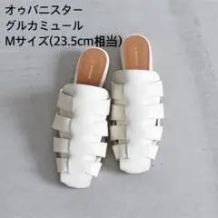 オゥバニスター グルカミュールのサムネイル