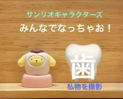 サンリオ　みんなでなっちゃお！歯　ポムポムプリン