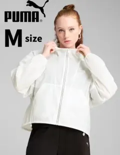 Item thumbnail for item 77b26e87-5ff9-4195-bac9-6f5e0d38cbde