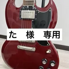 2025年最新】フジゲン sgの人気アイテム - メルカリ