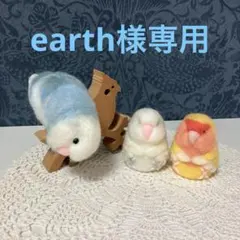 リクエストNO.2623☆コザクラインコ☆3点セット