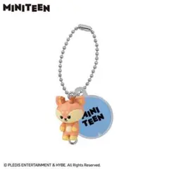 セブンティーン ミニティーン MINI TEEN ジョシュアJoshua 未開封