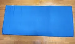 True Sleeper 低反発ごろ寝マットブルー