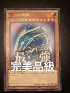 完美品級】青眼の白龍 ブルーアイズホワイトドラゴン 中島健人