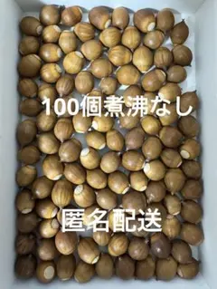 Item thumbnail for item a59c0ec4-d884-43e8-a216-87d6183f5437