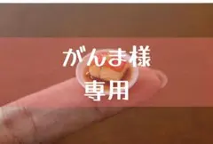 がんま様　専用